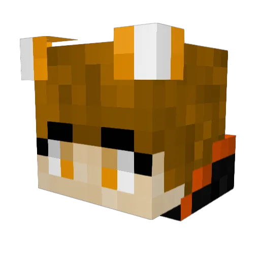 Xander3110_TTV Minecraft avatar head, 3D render