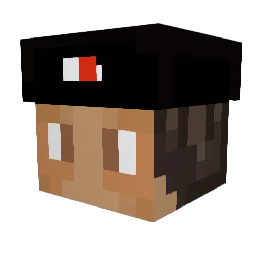 Xander5511 Minecraft avatar head, 3D render