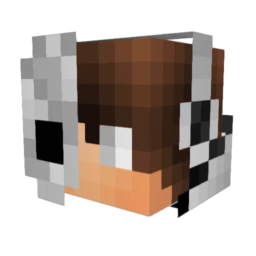 Xander691 Minecraft avatar head, 3D render