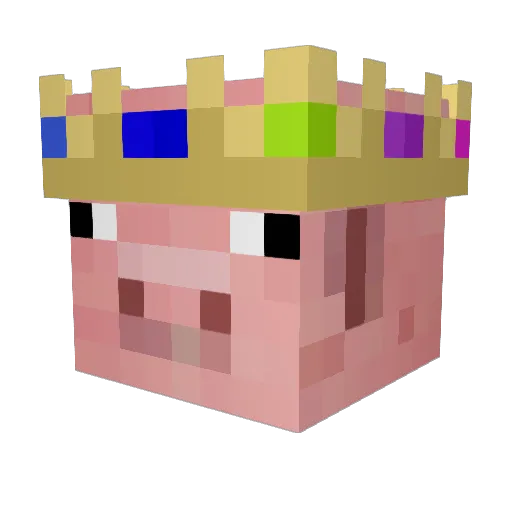 Xander9892 Minecraft avatar head, 3D render