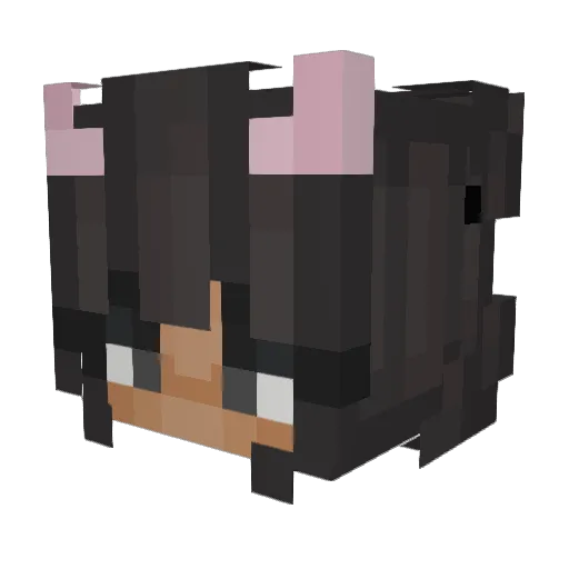 XanderC Minecraft avatar head, 3D render