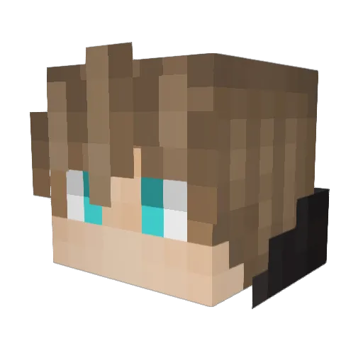 XanderSky Minecraft avatar head, 3D render