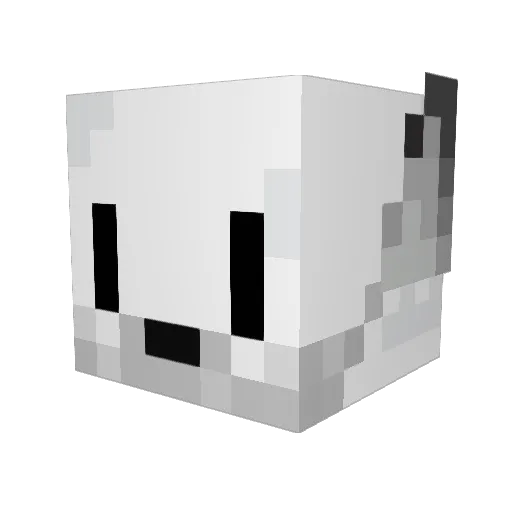 XanderTFox Minecraft avatar head, 3D render