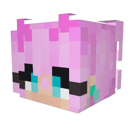Xander_0404 Minecraft avatar head, 3D render