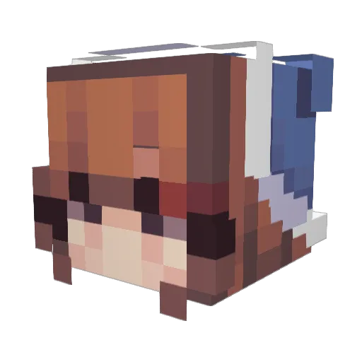 Xander_ExeE Minecraft avatar head, 3D render