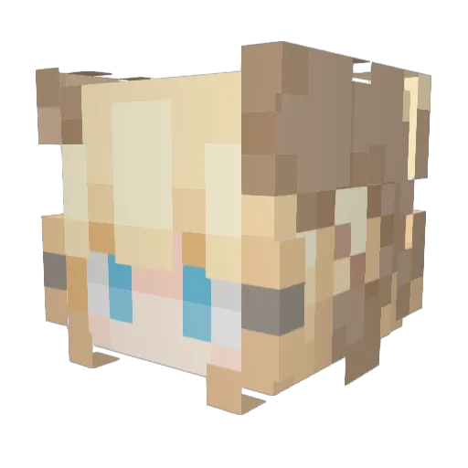 Xanderfell Minecraft avatar head, 3D render