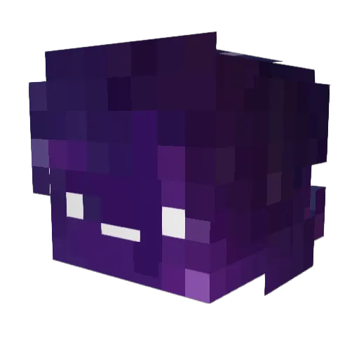 Xanderocks10 Minecraft avatar head, 3D render