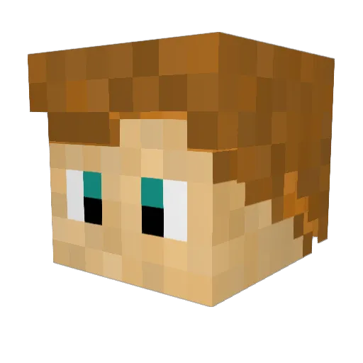 XanderoniPainter Minecraft avatar head, 3D render