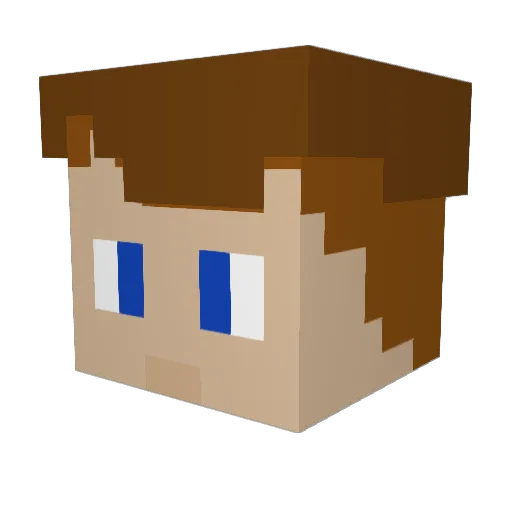 Xanderr2008 Minecraft avatar head, 3D render