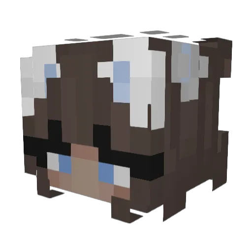Xanderrrr25 Minecraft avatar head, 3D render