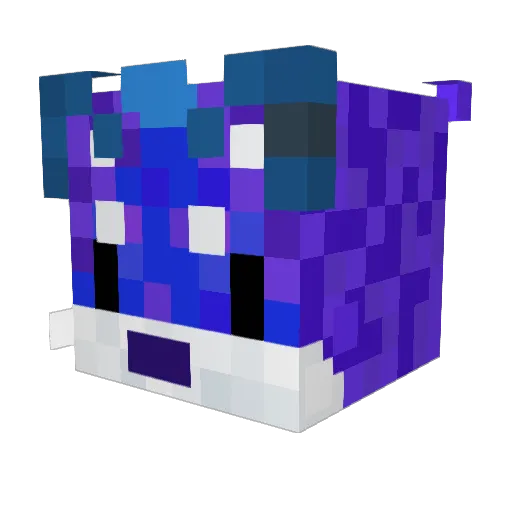 Xandersthebest Minecraft avatar head, 3D render