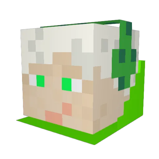 Xandi2000 Minecraft avatar head, 3D render