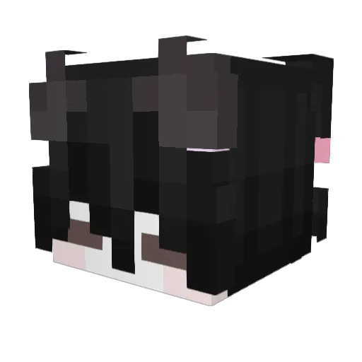 Xandriana2 Minecraft avatar head, 3D render