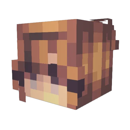 Xani211 Minecraft avatar head, 3D render