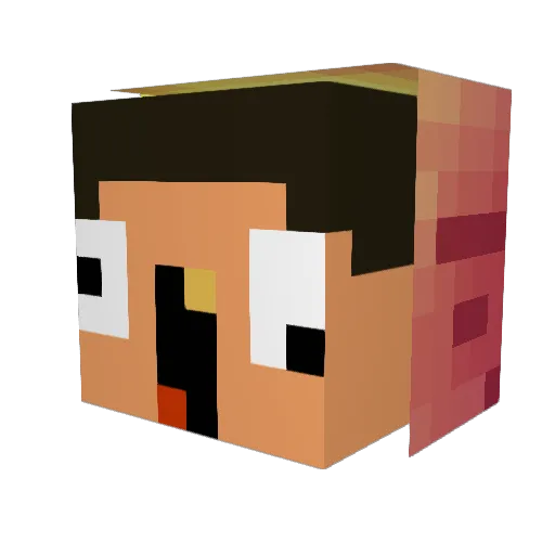Xannonn Minecraft avatar head, 3D render