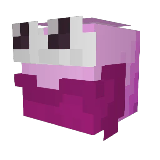 Xanny_fr Minecraft avatar head, 3D render