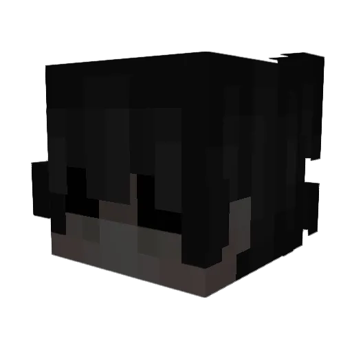 Xanssss Minecraft avatar head, 3D render