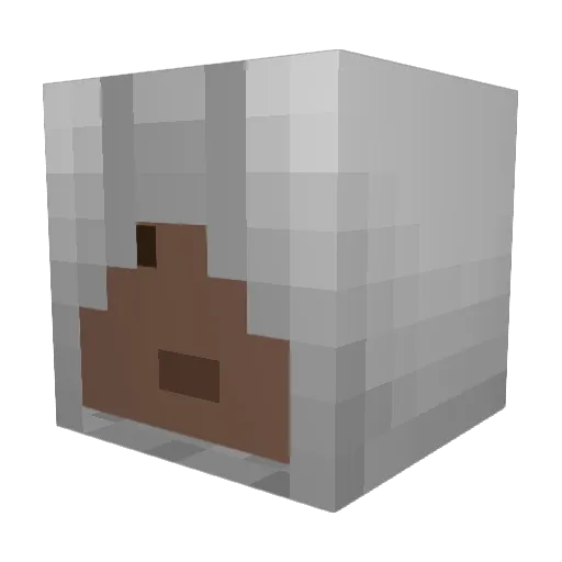Xantozz Minecraft avatar head, 3D render