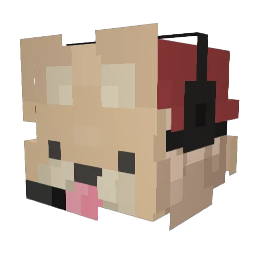 Xao_Mu Minecraft avatar head, 3D render