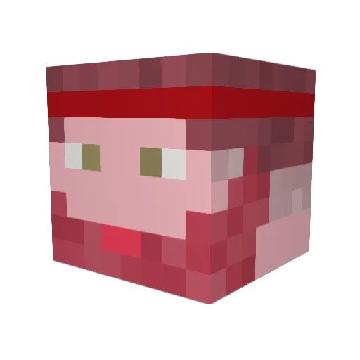 Xaolon Minecraft avatar head, 3D render