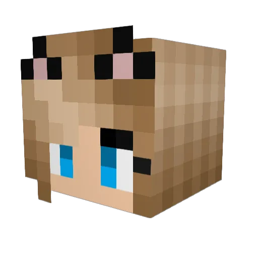 Xaraa Minecraft avatar head, 3D render