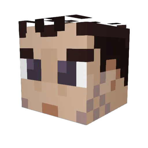 Xaradius Minecraft avatar head, 3D render