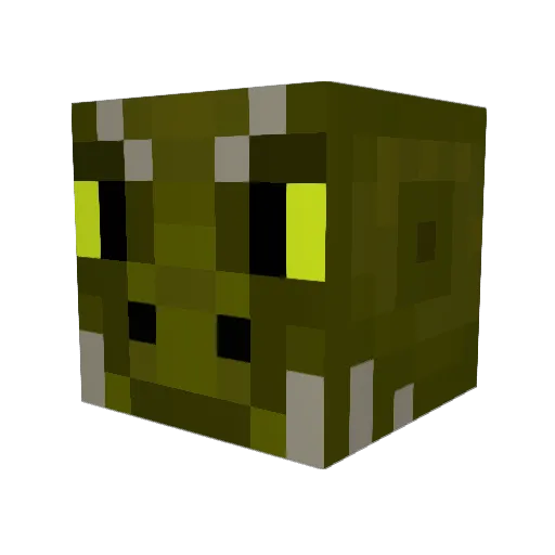Xaradune Minecraft avatar head, 3D render
