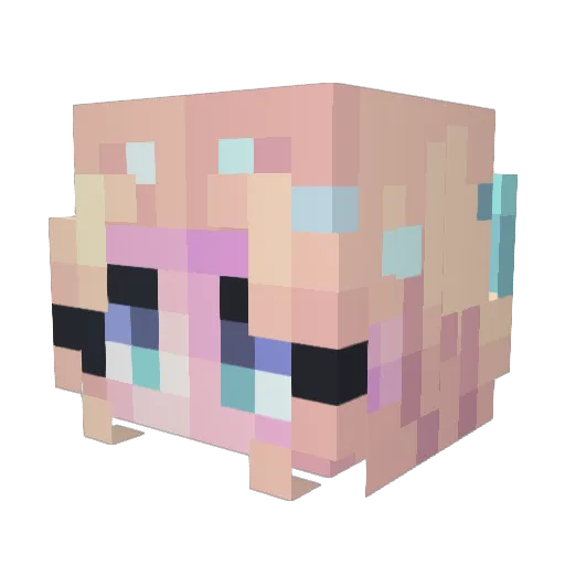 Xardas5010 Minecraft avatar head, 3D render