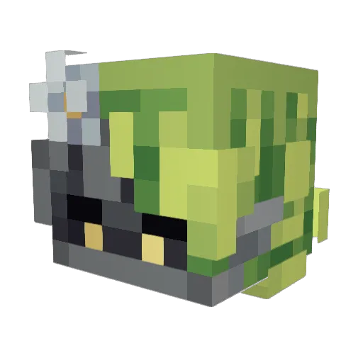 Xaremara Minecraft avatar head, 3D render
