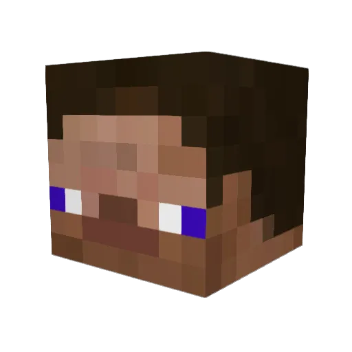 Xari0 Minecraft avatar head, 3D render