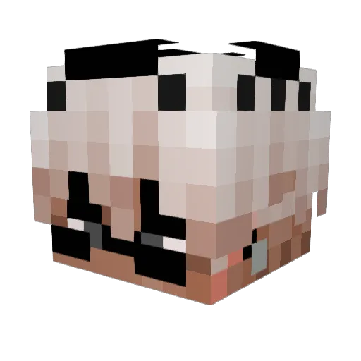Xaristotle Minecraft avatar head, 3D render