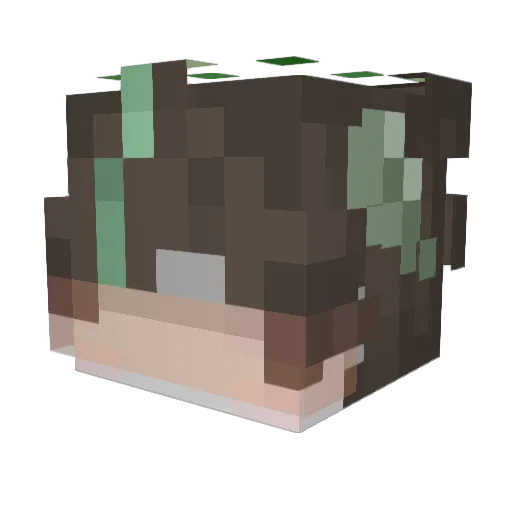 Xariusly Minecraft avatar head, 3D render