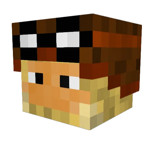 Xarles_noriac Minecraft avatar head, 3D render