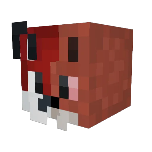 Xaro9 Minecraft avatar head, 3D render