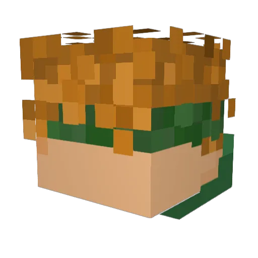 Xarook Minecraft avatar head, 3D render