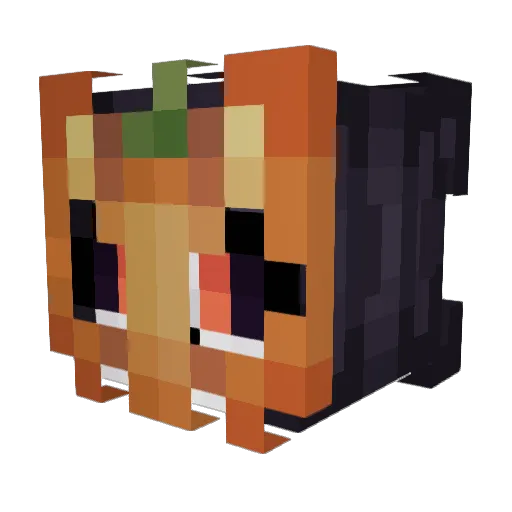 Xarra152 Minecraft avatar head, 3D render