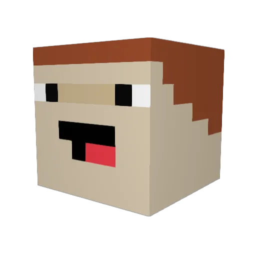 Xarry Minecraft avatar head, 3D render