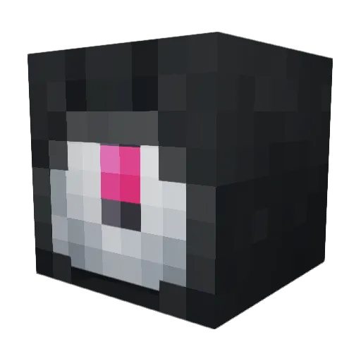 Xaryn_ Minecraft avatar head, 3D render
