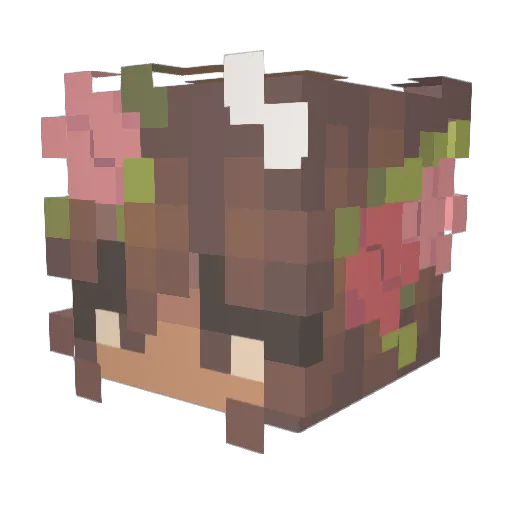 XasharXV Minecraft avatar head, 3D render