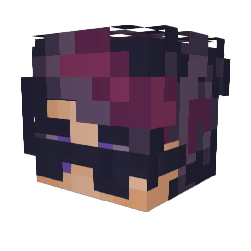 Xass12 Minecraft avatar head, 3D render