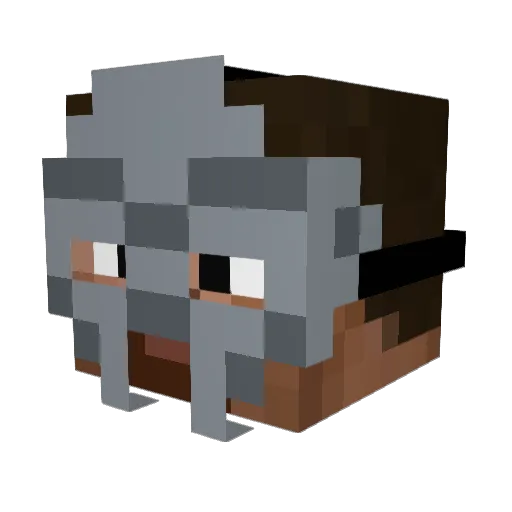Xausenn Minecraft avatar head, 3D render