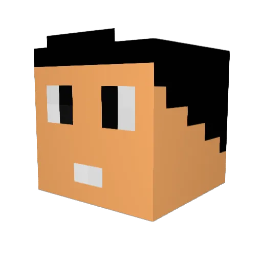 Xav2000_ Minecraft avatar head, 3D render
