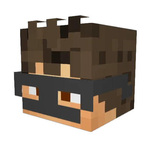 Xaver0410 Minecraft avatar head, 3D render