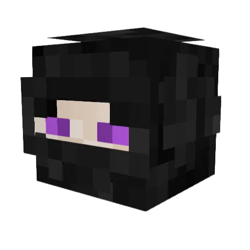 Xaver__ Minecraft avatar head, 3D render