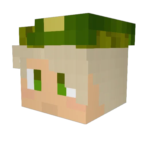 Xavi1405 Minecraft avatar head, 3D render