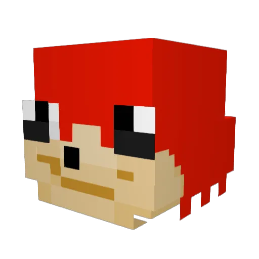 Xavi767 Minecraft avatar head, 3D render