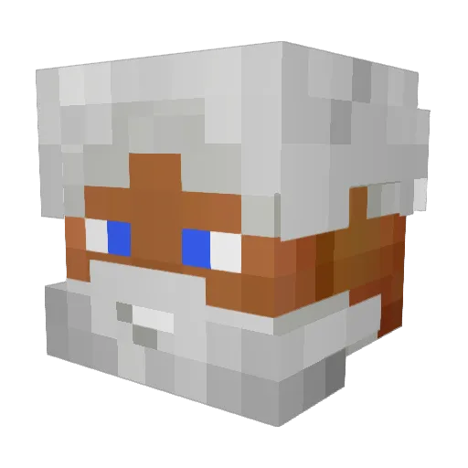 Xavi_San Minecraft avatar head, 3D render