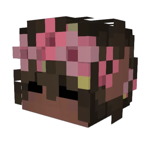 Xavier410 Minecraft avatar head, 3D render