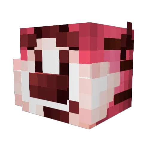 Xavier Minecraft avatar head, 3D render