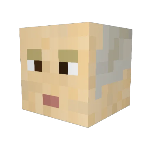 XavierAO Minecraft avatar head, 3D render